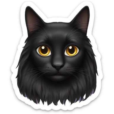 Long hair black cat sticker