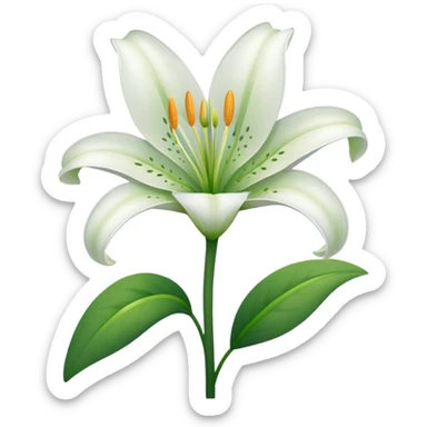 Lily flower sticker