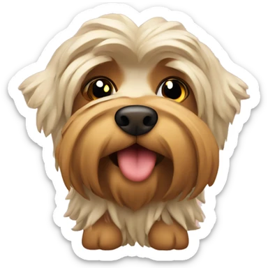 yorkshire with a heart sticker