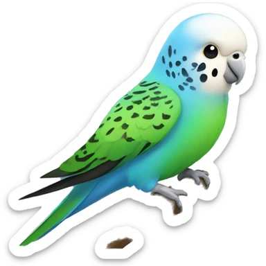 Budgie bird  sticker