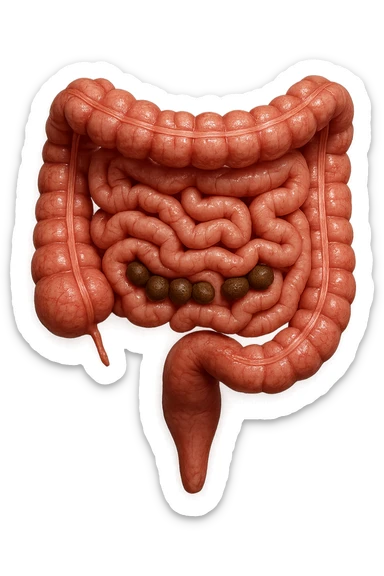 intestino umano anatomico, iperrealistico 4k, con feci a palline sticker
