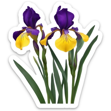 Irises flower sticker
