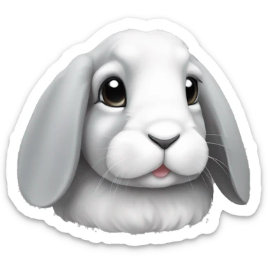 Mini lop rabbit face with grey ears sticker