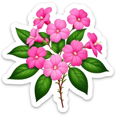 big bouquet pink Impatiens Balsamina flower stem, leaf sticker