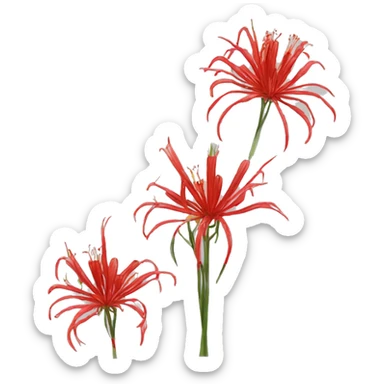 Red spider lily sticker