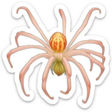 spiderlily sticker
