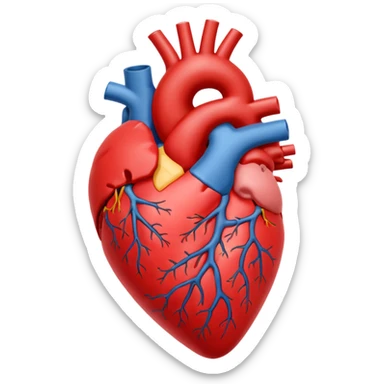 Human heart medical image sticker