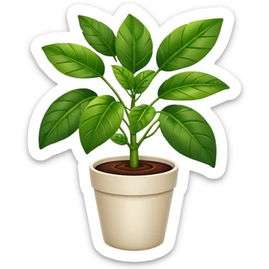 coffee houseplant sticker