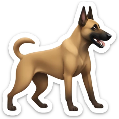 Belgian Malinois wrestling sticker
