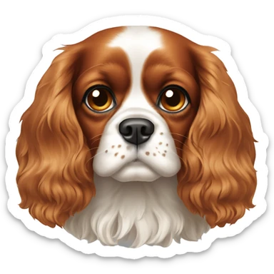 Cavalier King Charles spaniel with a spot on his forehead sticker