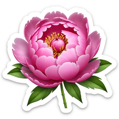 peony pink sticker