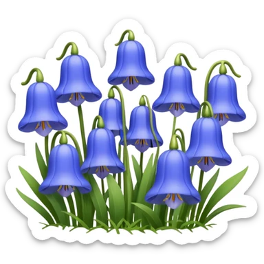 Bluebells sticker