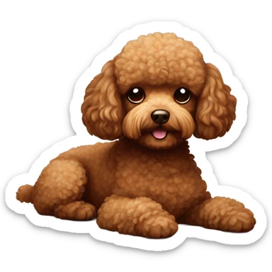 Brown toy poodle laying sticker