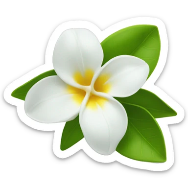 Jasmin flower tunisia  sticker