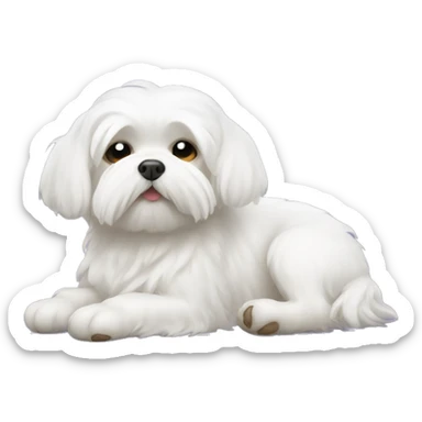 Maltese sleeps sticker