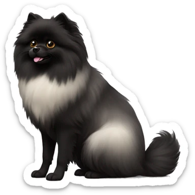 Black Pomerainian fluffy  sticker