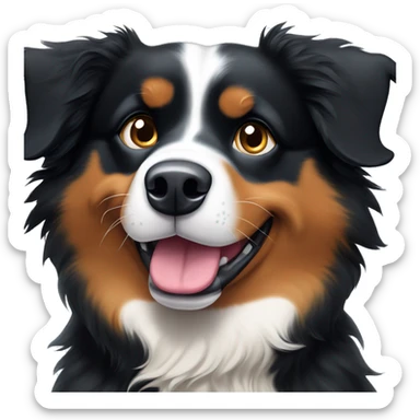 happy bernese mountain dog / australian shepherd mix (blue eyes) sticker