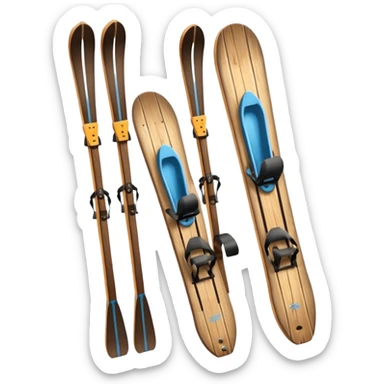 skis et raquettes sticker