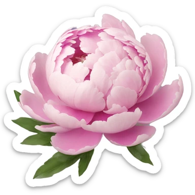 peony sticker