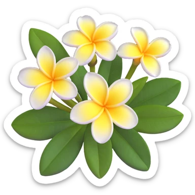 plumeria flower with five white petals and yellow center sticker