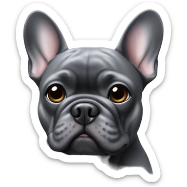 Dark grey French bulldog sticker