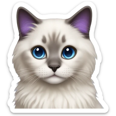 Brunette blue-eyed white girl wearing purple hugging seal colorpoint ragdoll cat sticker