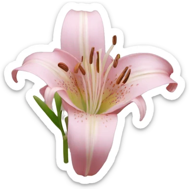 Lily sticker