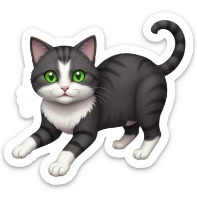 beautiful female solid dark grey cat with green eyes, white toes/paws and white patch on her chest playfully rolling upside down sticker