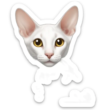 white oriental shorthair cat sticker