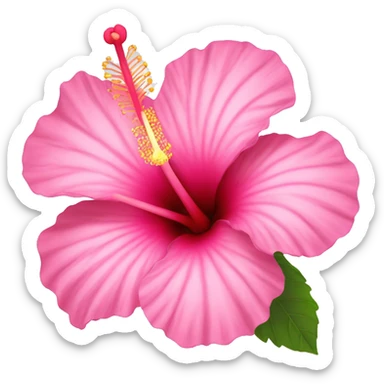 hibiscus flower pink sticker