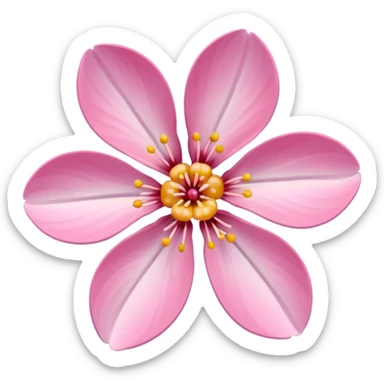CHERRY BLOSSOM’ sticker
