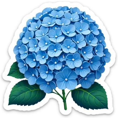 Blue hydrangeas flower￼ sticker
