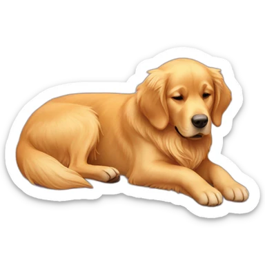 golden retriever lying down on the back  sticker