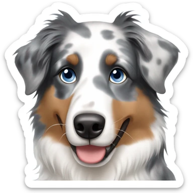 Australian shepherd blue Merle with one blue eye sticker