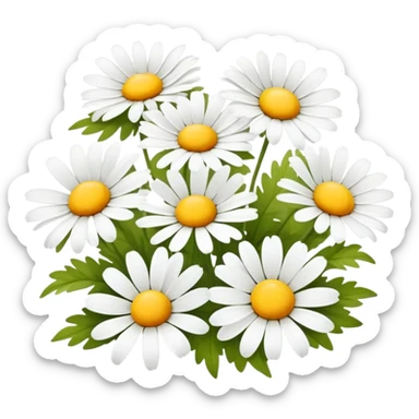 CHAMOMILE sticker
