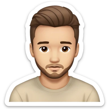Liam Payne  sticker
