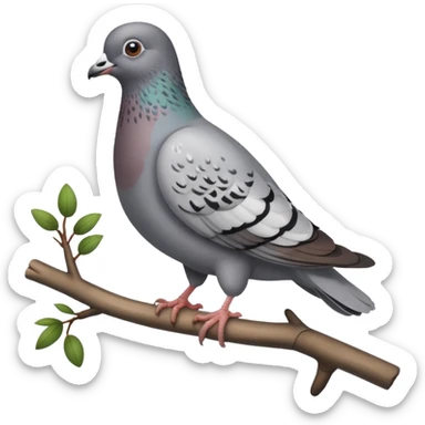 Pigeon sticker