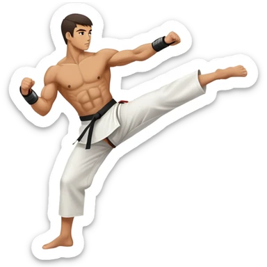 person performing a martial arts high kick sticker