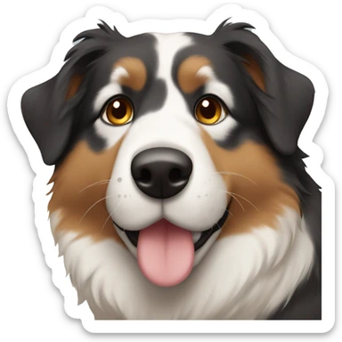 Tricolor Australian Sheppard  covering his nose with his paws sticker