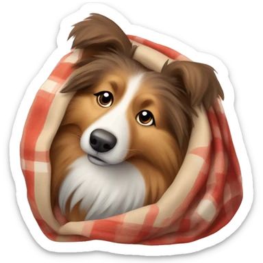 Shetland sheepdog with a blanket sticker