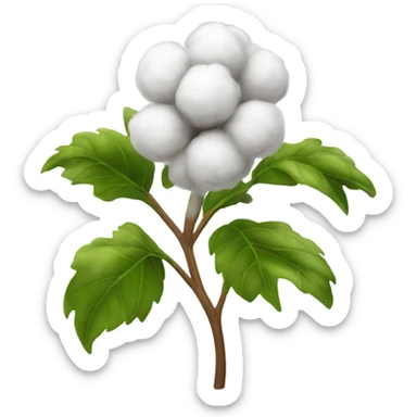 Cotton plant sticker