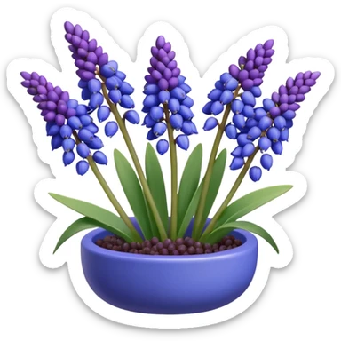 3d rending Realistic Still life, Grape Hyacinth Muscari sticker