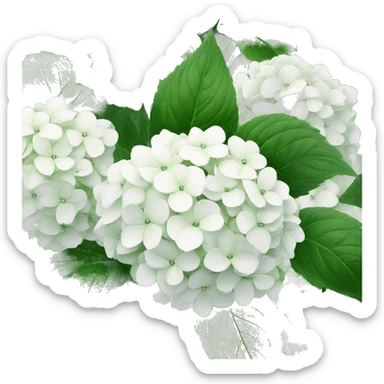 White Hydrangea sticker