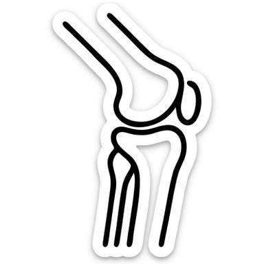 detailed medical illustration of knee bones and joint anatomy sticker