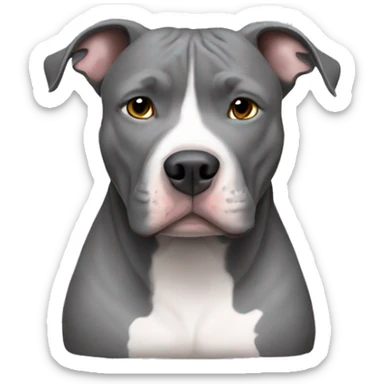 Gray Pitbull laying sticker