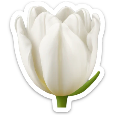 Tulipán blanco sticker