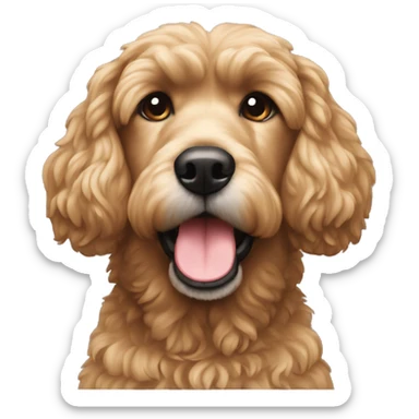 Chien au poil frisé brun caniche sticker