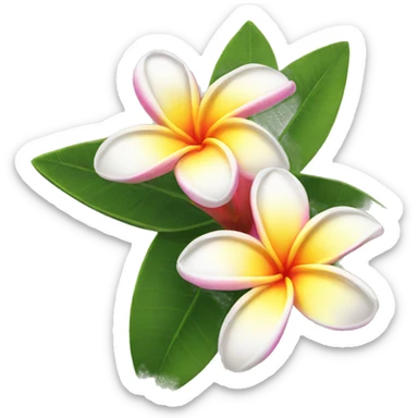 Plumeria flower sticker