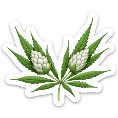 white color marijuana, no color sticker
