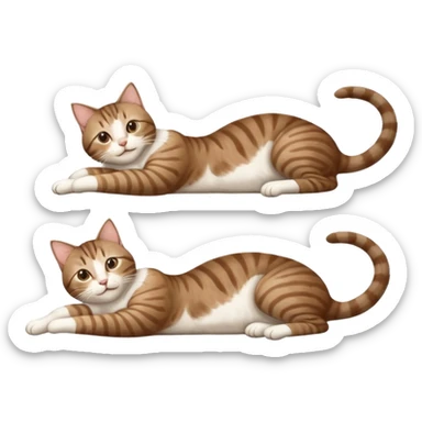 brown tabby and white cat with doing a big extremely long stretch reaching up into the air with arms and legs side by side together straight and overextended whilst lying on its side sticker